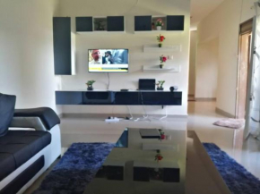 Spacious Zamtel flat